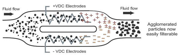 The BCATM Process